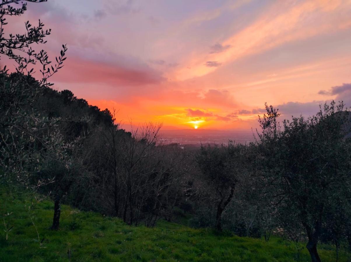 Montevettolini B&B Rosso Baccara المظهر الخارجي الصورة